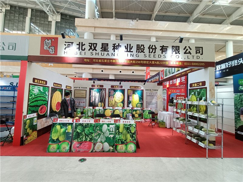 Hebei Shuangxing Seeds Co., Ltd. hè apparsu per a prima volta in Tianjin International Seed Expo 2018.