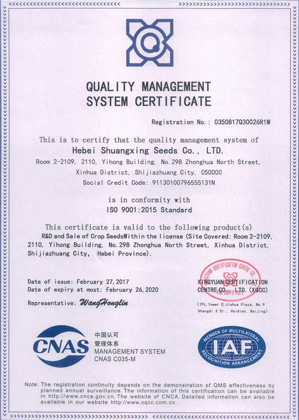 ISO_Certificate